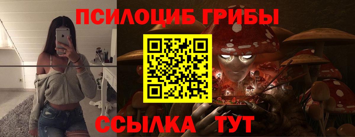 Галлюциногенные грибы Psilocybe  Омск  Псилоцибиновые грибы мицелий 